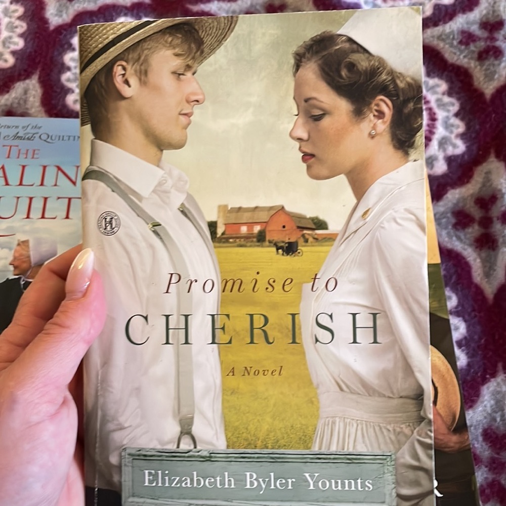 3 Amish Novels by authors Wanda Brunstettler, Elizabeth Byler Younts. - Picture 6 of 7